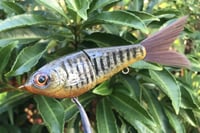 Image 17 of Custom Airbrushed Glide Bait 112