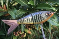 Image 21 of Custom Airbrushed Glide Bait 112