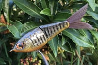 Image 22 of Custom Airbrushed Glide Bait 112