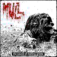 Mull ''The Sound of Melting Gristle'' - LP
