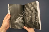 Image 5 of GAUEKO. TU SOMBRA, MI REFLEJO