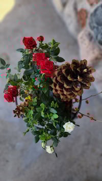 Image 4 of Christmas Roses Dish Garden Pre-Order