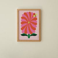 Image 1 of Kevätkukka