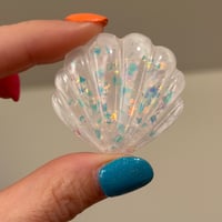 Iridescent Seashell Plugs (sizes 3/4-1 1/4)