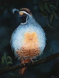 A GIFT FROM A GOLDEN LIGHT print