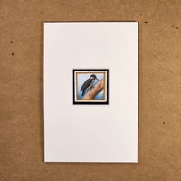 Red Cockaded Woodpecker - matted art print
