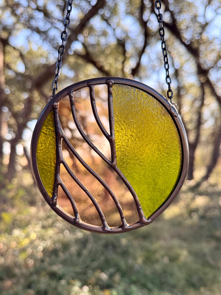 Image of Cypress Tree 2