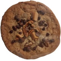 Image 1 of Turtle Indulgence