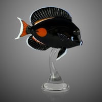 Image 2 of Achilles Tang - by Robert Mickelsen