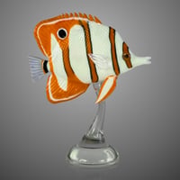 Image 1 of Copperband Butterflyfish