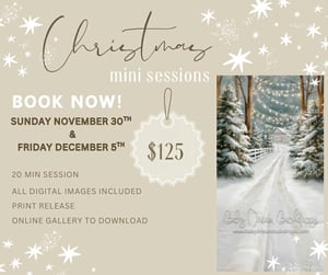 Image of 2025 Indoor Christmas Mini Sessions ( Kids & Families)