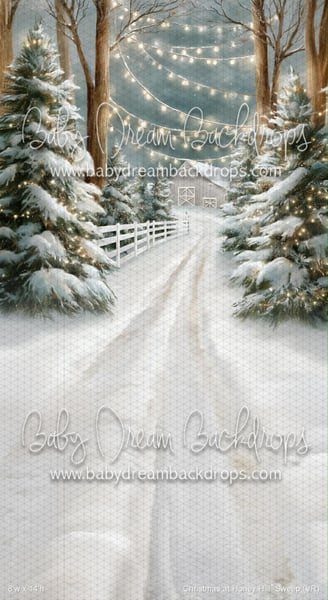 Image of 2025 Indoor Christmas Mini Sessions ( Kids & Families)