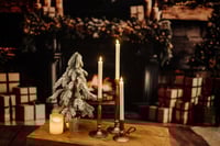 Image 1 of Indoor Holiday Minis 2025