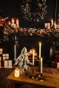 Image 2 of Indoor Holiday Minis 2025