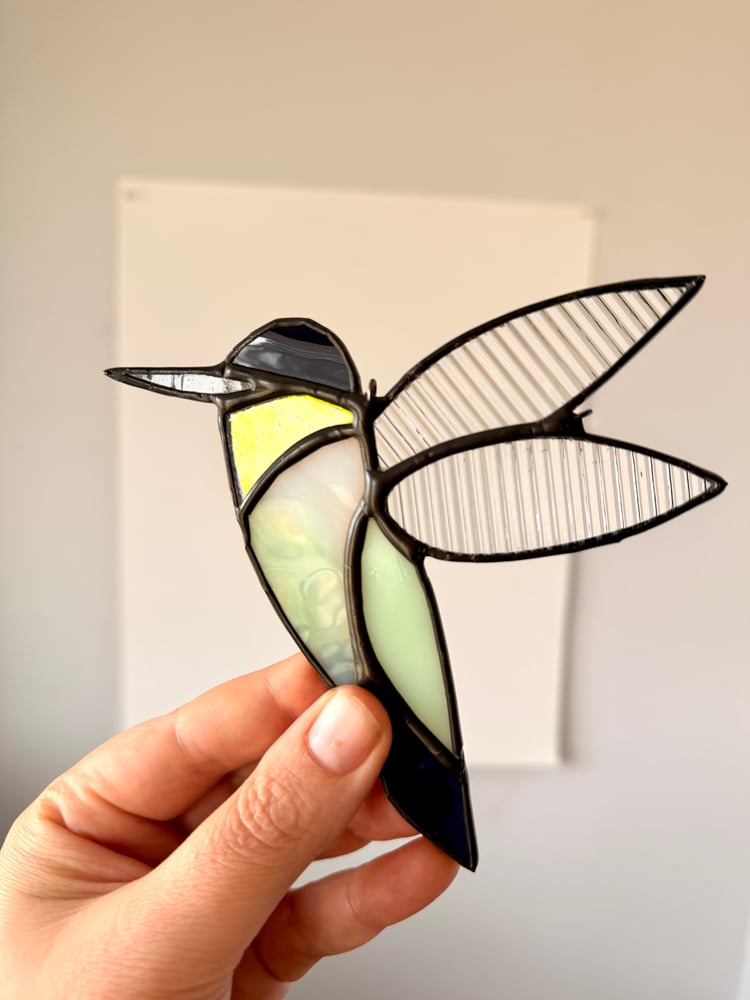 Image of Anna's Hummingbird