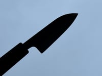 Image 3 of 80MM PARING KNIFE #319