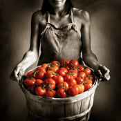 Image of Girl and Tomatoes
