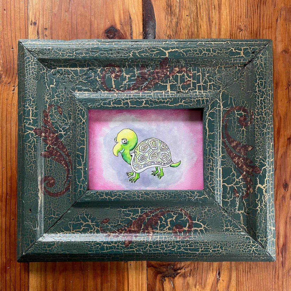 Image of Peaceful Turtle