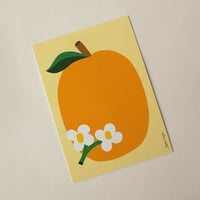 Image 2 of Satsuma Postcard