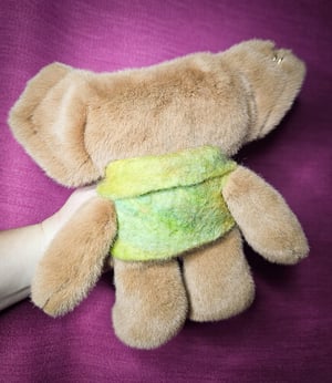 Smol Furrae! With A Handmade Felt Vest!