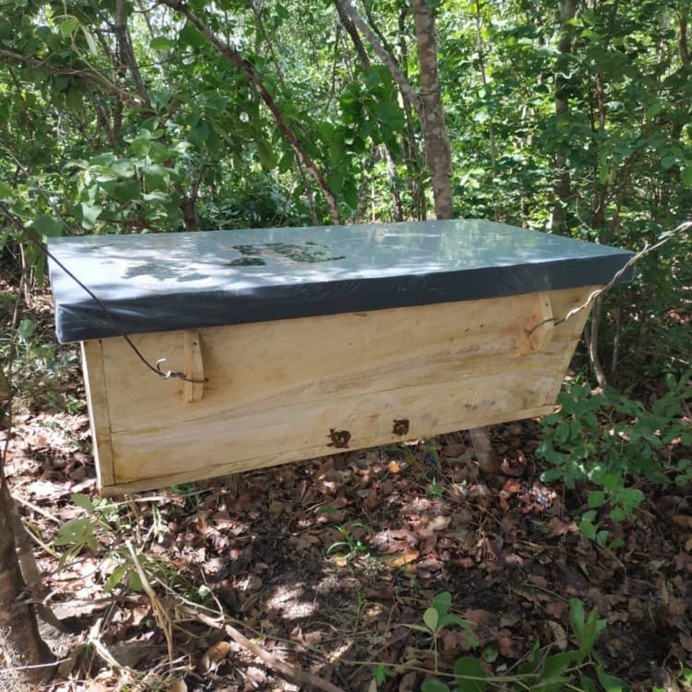 Image of Hive Support Voucher - Sponsor a Beehive for Nsangeni Support Group