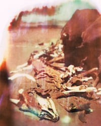 Road to Sossusvlei (II)