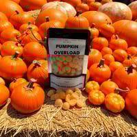 Pumpkin Overload Scent Sparks ™ Wax Melts