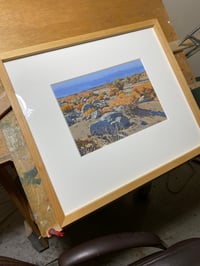 Image 2 of Winter Colors Palo Verde Wash, Anza Borrego Desert