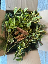 Image 1 of Foliage box