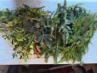 Image 2 of Foliage box