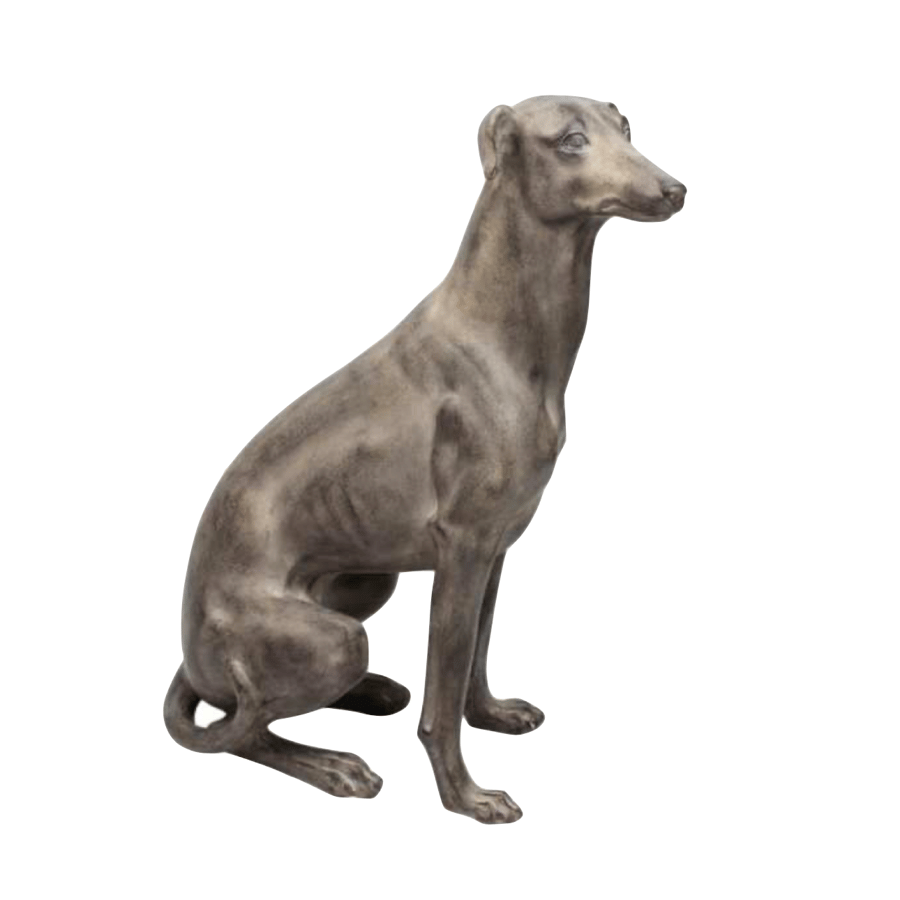 Image of Whippet