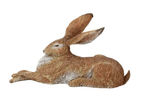 Image of Hare - Relaxing