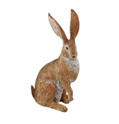Image of Hare - Listening