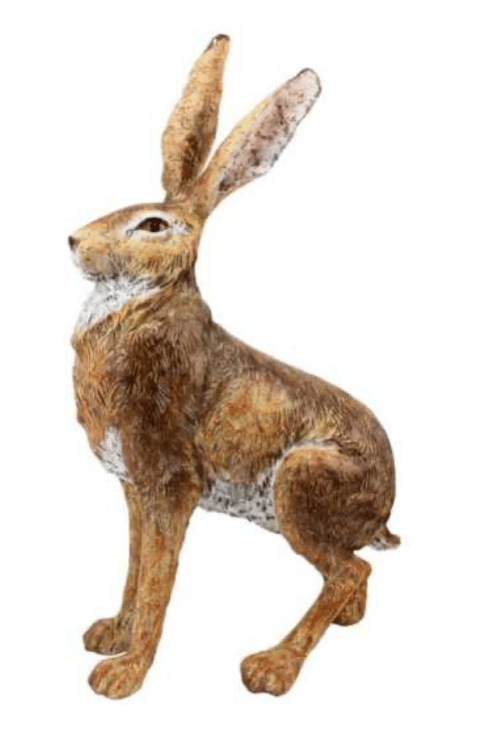 Image of Hare - Standing
