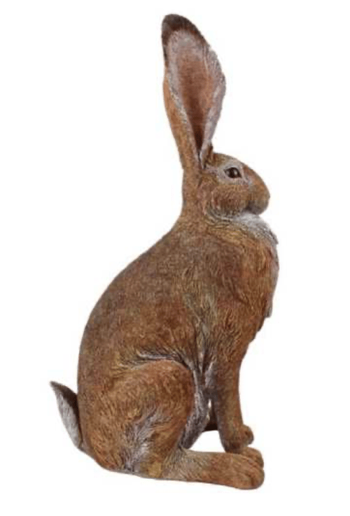 Image of Hare - Alert