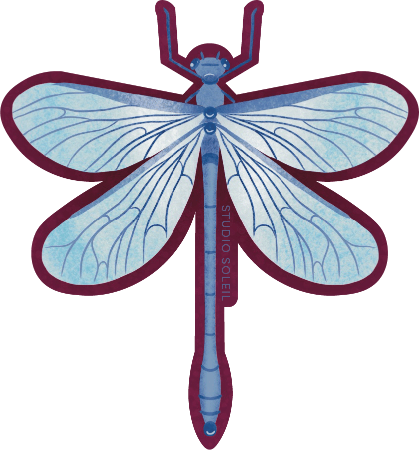 Image of Dragonfly Sticker
