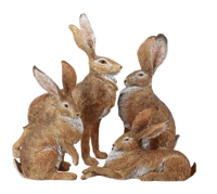 Image 3 of Alert Hare