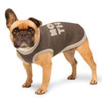 Image 5 of Knitted More Than Pet Sweater
