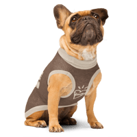 Image 4 of Knitted More Than Pet Sweater