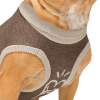 Image 6 of Knitted More Than Pet Sweater