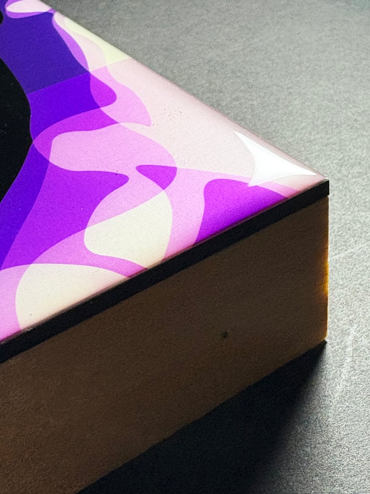 Image of PRE-ORDER Troy Gua 'The Artists' Pop Hybrid Bundle