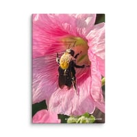 Image 1 of Hollyhock and Bumble Bee - 12” X 18” Canvas Print  