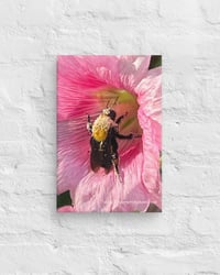 Image 2 of Hollyhock and Bumble Bee - 8” X 12” Canvas Print