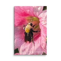 Image 1 of Hollyhock and Bumble Bee - 8” X 12” Canvas Print