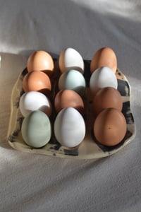 Image 6 of Egg Tray