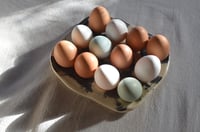 Image 7 of Egg Tray
