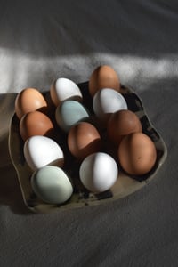 Image 9 of Egg Tray