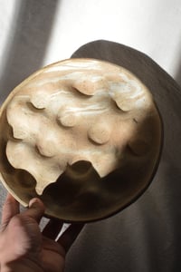 Image 12 of Egg Tray