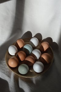Image 13 of Egg Tray