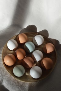 Image 15 of Egg Tray